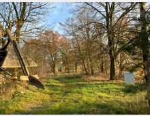 Ein Waldweg mit grasbewachsenem Boden, umgeben von kahlen Bäumen mit einigen bunten Herbstblättern. Links im Vordergrund steht eine hölzerne, dreieckige Konstruktion, rechts im Hintergrund ein kleiner weißer Versorgungskasten.