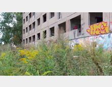 Ein verlassenes, mehrstöckiges Betongebäude mit großen, leeren Fensteröffnungen und bunten Graffiti an der Fassade. Im Vordergrund wächst wildes Gestrüpp mit gelb blühenden Pflanzen, während links Bäume zu sehen sind.