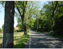 Landstraße mit Asphaltbelag, gesäumt von hohen Bäumen, die Schatten auf die Straße werfen; links ist eine Wiese mit einem Zaun und einem teilweise sichtbaren Gebäude, rechts parkt ein Auto am Straßenrand.