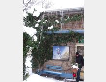Kleiner Gebäudebereich mit einer Fassade, die von Efeu bewachsen ist, und mit Schnee bedeckt. An der Wand hängt ein gerahmtes Bild, darunter steht eine blaue Holzbank, und daneben steht eine Person mit winterlicher Dekoration; lang hängende Eiszapfen sind am Dach zu sehen.