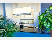 Moderne Küche mit glänzender, dunkler Arbeitsfläche und weißen Schränken. Im Vordergrund stehen zwei große Topfpflanzen, und eine zentral hängende rechteckige Leuchte beleuchtet den Raum.