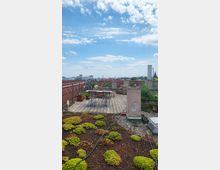 Dachterrasse mit Holzdeck, ausgestattet mit Tisch und Stühlen, umgeben von Geländern und Pflanzkübeln. Im Vordergrund ein begrüntes Flachdach mit Moos- und Sukkulentenbewuchs; im Hintergrund eine städtische Skyline und blauer Himmel mit leichten Wolken.