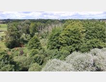 Waldgebiet mit dichtem Laub- und Nadelbaumbestand, im Vordergrund helles Blattwerk eines Baums. Im Hintergrund leicht hügelige Landschaft unter einem bewölkten Himmel.