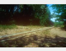 Ein schmaler, teilweise überwucherter Gehweg aus Beton verläuft durch eine sandige Fläche, umgeben von Bäumen und Sträuchern, die dichten Schatten spenden. Im Hintergrund ist eine offene grüne Landschaft sichtbar.