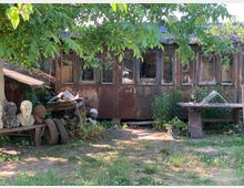 Ein verwilderter Garten mit einem kleinen, verwitterten Gebäude aus Blech und Holz, umgeben von hohen Pflanzen. Im Vordergrund stehen Büsten aus verschiedenen Materialien auf einer Holzbank und ein Tisch mit Gartenutensilien.