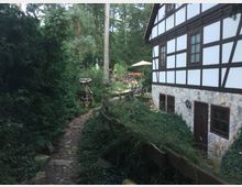 Fachwerkhaus in ländlicher Umgebung mit weißer Fassade und dunklen Holzbalken, flankiert von einem mit Efeu bewachsenen Garten und einem gepflasterten Gehweg. Im Hintergrund ist ein Wald mit hohen Bäumen sowie eine Terrasse mit Sonnenschirm und Sitzmöbeln zu sehen.