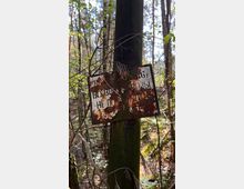 Ein rostiges, beschädigtes Metallschild mit unleserlichem Text hängt an einem Baumstamm in einem bewaldeten Gebiet. Der Hintergrund zeigt dichte Vegetation mit Bäumen, Sträuchern und Licht, das durch die Blätter fällt.