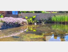 Gartenbereich mit einem kleinen Teich im Vordergrund, umgeben von Blumen, Farnen und Schilfpflanzen. Im Hintergrund eine gemauerte Steinwand mit kleinem Wasserfall und einer Treppe, die zu einem Backsteingebäude mit Glastür führt.