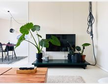 Wohnzimmer mit minimalistischem Design, einem niedrigen grünen Fernsehtisch mit Topfpflanzen darauf, einem an der Wand montierten Fernseher und Holzmöbeln im Vordergrund. Im Hintergrund ist ein Esstisch mit schwarzen Stühlen sowie eine hängende Lampe zu sehen.