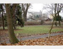 Parklandschaft im Herbst mit Laub bedecktem Boden, vereinzelt stehenden Bäumen und einem schmalen Gehweg. Im Hintergrund sind niedrige Gebäude und ein mehrstöckiger Wohnblock zu sehen.
