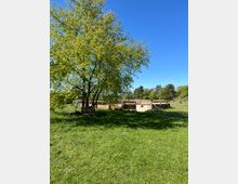 Weitläufige Wiese mit einem großen, blühenden Baum im Vordergrund, daneben Holzumzäunungen, die einen sandigen Bereich abgrenzen. Im Hintergrund sind weitere Bäume unter einem klaren blauen Himmel zu sehen.