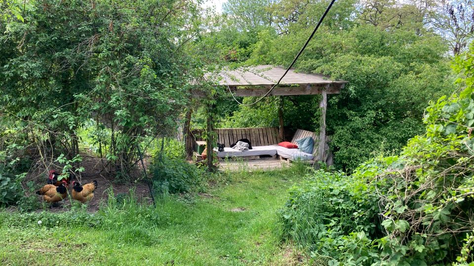Ein Garten mit viel grüner Vegetation und einem überdachten Holzpavillon, der mit Kissen und einer Sitzbank ausgestattet ist. Links im Bild sind Hühner unter Bäumen und Büschen zu sehen.