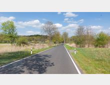 Ländliche Straße mit Asphaltbelag, gesäumt von Baumreihen und Wiesen. Im Hintergrund sind Felder, Büsche und Wald bei leicht bewölktem Himmel zu sehen.