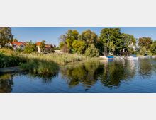 Ein Seeufer mit Schilf, Bäumen und einigen Wohnhäusern mit roten Dächern im Hintergrund. Am rechten Uferbereich liegen Boote an einer kleinen Anlegestelle, teils von Bäumen und Vegetation umgeben.