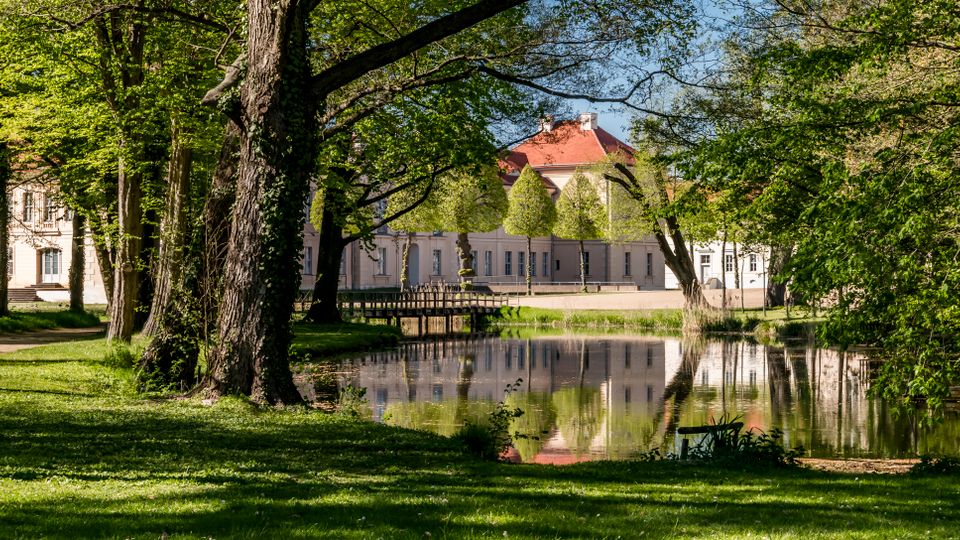Tree-lined park landscape with a calm pond reflecting surrounding greenery, and a pale historic manor or palace with red-tiled roofs in the background. A grassy path and large mature trees frame the water’s edge.