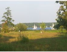 Weite Wiesenlandschaft mit vereinzelten Bäumen im Vordergrund und einem See im Hintergrund, auf dem mehrere Segelboote zu sehen sind; dichte Waldlinie am gegenüberliegenden Seeufer.