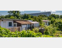 Eine Kleingartenanlage mit kleinen Gartenhäuschen, Zäunen und dichtem Grün von Pflanzen und Bäumen. Im Hintergrund ist ein mehrstöckiges Wohngebäude und ein bewaldeter Bereich sichtbar.