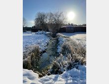 Verschneite Landschaft mit einem schmalen, teilweise zugefrorenen Bachlauf, der zwischen Schilf und Uferbewuchs in Richtung eines kleinen Holzschuppens führt. Im Hintergrund stehen kahle Bäume und niedrige Gebäude unter tief stehender Sonne am klaren Himmel.