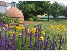 Ein Garten mit bunten Blumen in den Vordergrund (gelbe und violette Blüten), einer kleinen Rotklinker-Kuppel im Hintergrund, umgeben von Bäumen, grüner Wiese und einem Zeltbereich mit Sitzbänken.