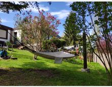 Garten mit grünem Rasen, einem blühenden Magnolienbaum in der Mitte und einer Hängematte, die zwischen Baum und Holzpfosten gespannt ist. Im Hintergrund stehen ein Wohnhaus mit Terrasse und ein Wäscheständer vor hohen Nadelbäumen.