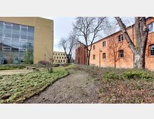 Ein Außenbereich mit roten Ziegelgebäuden auf der rechten Seite und einem modernen Gebäude mit Glasfassade links. Dazwischen verlaufen Gehwege durch eine Grünfläche mit Bäumen und niedrigen Pflanzen.