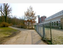 Ein asphaltierter Weg führt durch eine Umgebung mit kahlen Bäumen und Sträuchern auf der linken Seite. Rechts befindet sich ein eingezäuntes Gelände mit einem modernen, länglichen Gebäude und im Hintergrund ein mehrstöckiges rotes Ziegelgebäude.