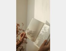 Eine Person hält ein aufgeschlagenes Buch in der Hand; auf den weißen Seiten sind Schatten von filigranen Zweigen sichtbar, die durch warmes Licht erzeugt werden. Der Hintergrund ist schlicht und hell mit einigen getrockneten Pflanzen im Vordergrund.