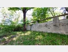 Eine verwilderte Grünfläche mit hohen Bäumen, einer beschädigten Mauer mit Graffiti und überwuchertem Boden. Im Hintergrund ist ein Teil eines Gebäudes sichtbar, teils verdeckt durch das dichte Laubwerk.