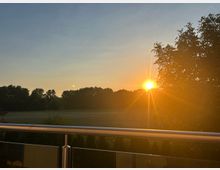 Blick von einem Balkon mit Glas- und Metallgeländer über eine weitläufige Wiese mit Baumreihe am Horizont. Die tief stehende Sonne geht neben einem großen Baum auf und erzeugt warmes Gegenlicht im klaren Himmel.