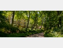 Wohngebäude im Stil des 19. Jahrhunderts, flankiert von dichtem Grün mit hohen Bäumen und einem schattigen Fußweg im Vordergrund. Die Fassade der Gebäude ist in hellen Gelb- und Beigetönen gehalten.