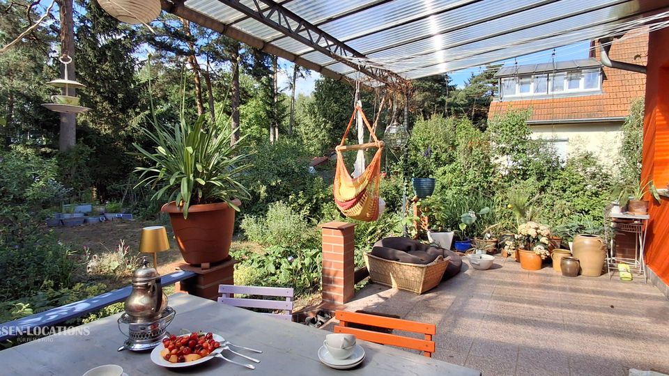Überdachte Terrasse eines Wohnhauses mit transparentem Wellplattendach und Blick in einen dicht bewachsenen Garten mit hohen Bäumen. Auf der Terrasse stehen zahlreiche Topfpflanzen, ein Tisch mit Geschirr, ein Hängesessel sowie Körbe und Pflanzgefäße entlang der Hauswand.