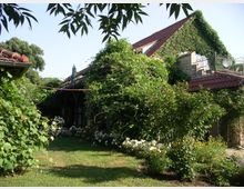 Ein mit Efeu bewachsenes Gebäude mit Ziegeldach, umgeben von einem Garten mit Bäumen, Sträuchern und Blumenbeeten. Im Vordergrund eine Rasenfläche, im Hintergrund sind Terrassen- und Balkonbereiche zu erkennen.