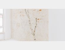 Heller, minimalistischer Raum mit einer weiß gestrichenen Ziegelwand und einem großen Fenster links, durch das Tageslicht einfällt. Ein unscharfer Ast im Vordergrund ragt in das Bild.