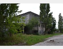 Eine verlassene, graue Industrie- oder Lagerhalle mit zerbrochenen Fenstern und Graffiti an den Wänden, umgeben von überwuchertem Gras, Sträuchern und Bäumen. Der Boden besteht aus rissigem Beton, während im Hintergrund weitere Vegetation und Gebäudeteile sichtbar sind.