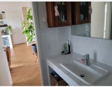 Ein Badezimmer mit einem weißen Waschbecken und einem Spiegel an der Wand, daneben ein Schrank mit Glastüren. Im Hintergrund ist ein Wohnbereich mit Holzparkettboden, einer großen Zimmerpflanze und einer offenen Küchenecke sichtbar.