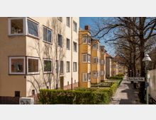 Mehrstöckige Wohnhäuser mit hellgelben Fassaden, großen Fenstern und Erkern entlang einer ruhigen Straße mit Gehweg. Im Vordergrund sind gepflegte Hecken, Bäume ohne Laub und ein Straßenschild mit der Aufschrift „Bruno-Bauer-Straße“ zu sehen.