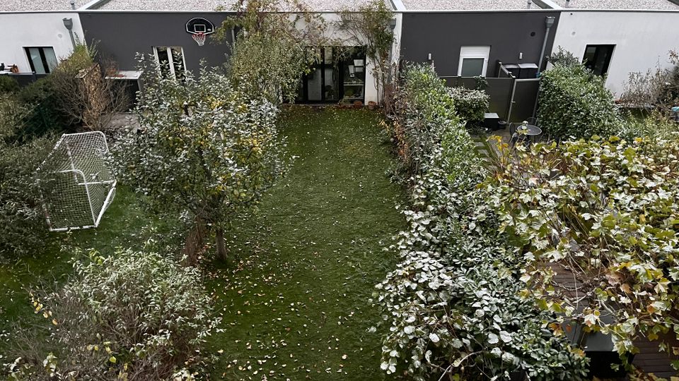 A backyard garden with a rectangular lawn bordered by bushes and small trees. In the background, there is a modern, single-story building with a flat roof, dark gray and white walls, and large windows. A soccer goal and basketball hoop are visible in the yard, with a park and trees beyond the property.