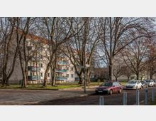 Mehrfamilienhäuser mit hellen Fassaden und roten Dächern, umgeben von einer Baumallee mit blattlosen Ästen. Im Vordergrund stehen geparkte Autos entlang einer Straße, neben einem gepflasterten Gehweg.