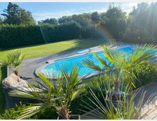 Außenbereich mit einem rechteckigen Swimmingpool mit umlaufender Steinpflasterung, daneben eine große Rasenfläche und hohe, dichte Hecken als Sichtschutz. Im Vordergrund stehen Palmen und Sträucher, im Hintergrund weitere Bäume unter blauem Himmel.