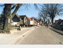 Eine gepflasterte Dorfstraße mit Reihen kleiner Häuser, teilweise mit roten Dächern und Gärten, flankiert von großen, kahlen Bäumen. Zwei Personen laufen am rechten Straßenrand, während die Umgebung ruhig und sonnig wirkt.