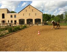 Reitplatz mit sandigem Boden und einer Absperrung aus Holz, im Hintergrund ein großes Backsteingebäude mit hohen Fenstern. Ein Reiter auf einem braunen Pferd ist in Bewegung, umgeben von bewachsenen Grünflächen und Bäumen.