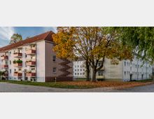 Mehrfamilienhäuser in einem Wohngebiet mit drei Stockwerken und roten Dächern, umgeben von einem gepflasterten Weg und Grünflächen. Ein großer Laubbaum mit Herbstlaub steht im Vordergrund, während Blätter den Boden bedecken.