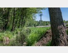 Waldlandschaft mit einem schmalen Bach, der von hohen Bäumen und dichtem Grün flankiert wird; im Hintergrund ragt ein Strommast in einer offenen Wiese in den Himmel.