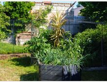 Ein Garten mit einem Hochbeet, das verschiedene grüne Pflanzen wie Zwiebeln und Tomaten enthält, umgeben von einem Maschendrahtzaun. Im Hintergrund sind eine alte Steinmauer, andere grüne Büsche und Bäume sowie Teile eines Hauses zu sehen.