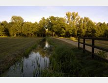 Landschaft mit einem schmalen Graben, der von Gras und Schilf gesäumt ist, einer unbefestigten Straße und einer Holzbrücke im Vordergrund. Im Hintergrund stehen dichte, von Sonnenlicht erleuchtete Bäume.