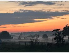 Weite ländliche Landschaft mit eingezäunten Wiesen und Baumgruppen, die in bodennahem Nebel liegen. Am rechten Bildrand steht die Silhouette einer landwirtschaftlichen Maschine vor einem orangefarbenen Himmel mit dunklen Wolken.