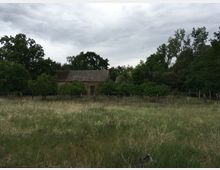 Eine verlassene Steinruine mit einem beschädigten Ziegeldach, umgeben von dichter Vegetation und Bäumen, im Vordergrund eine Wiese mit hohem Gras. Der Himmel ist bewölkt.