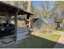 Ein Garten mit einem kleinen Glashaus und einem überdachten Carport aus Holz, in dem ein schwarzes Auto steht. Im Hintergrund sind verschiedene Holzgebäude und hohe Bäume, die auf einen ländlichen oder bewaldeten Bereich hinweisen.