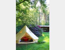 Gelbes Zelt in einer grünen Waldlichtung, umgeben von Bäumen und blühenden Rhododendronsträuchern, mit einer kleinen Holzhütte im Hintergrund. Sonnenlicht scheint durch die Baumkronen, und die Szene vermittelt eine ruhige Outdoor-Atmosphäre.