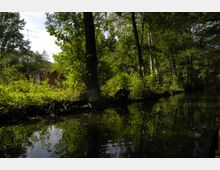 Eine Waldlandschaft mit einem kleinen Bach im Vordergrund, dessen Wasser die umliegenden grünen Bäume und Sträucher spiegelt. Im Hintergrund ist ein rotbraunes, schlichtes Haus mit einem Dach und einem Antennenmast zu sehen, das von dichtem Grün umgeben ist.